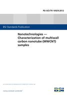 BS PD ISO/TR 10929:2012