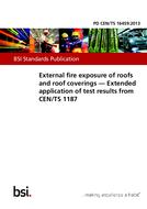 BS PD CEN/TS 16459:2013