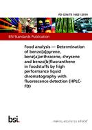 BS PD CEN/TS 16621:2014
