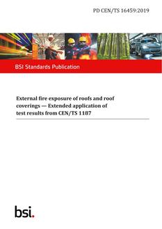 BS PD CEN/TS 16459:2019